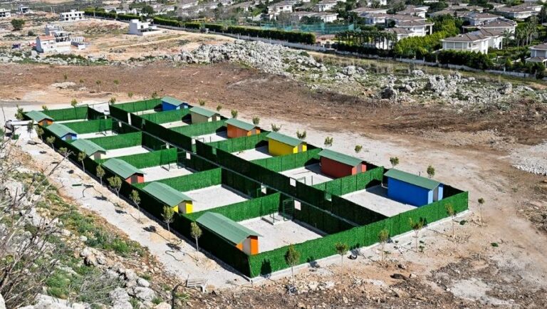 Sokak hayvanları rehabilitasyon ve geçici bakım evinin kapasitesi arttırıldı