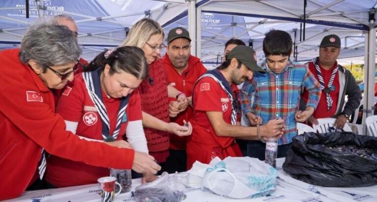 Engelli Bireyler Zeytin Hasadı Sayesinde Sosyalleşti