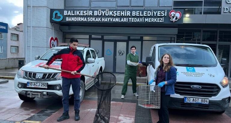 Ağaçta Mahsur Kalan Yaralı Martının İmdadına İtfaiye Yetişti