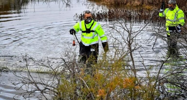 Sivrisinek ve Haşereyle Mücadele 12 Ay Sürüyor
