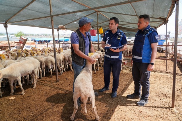 Gaziemir’de kurban satış yerlerinde sıkı denetim