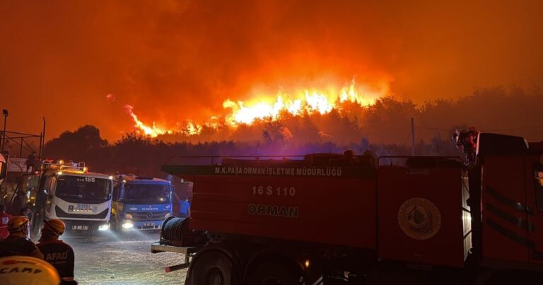 Bursa’da 3 bin hektar zarar gördü